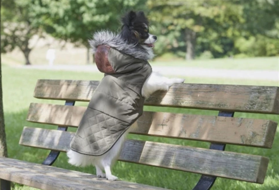 Spot Ethical Pet Olive Leather Detail Dog Coat - Stylish & Eco-Friendly