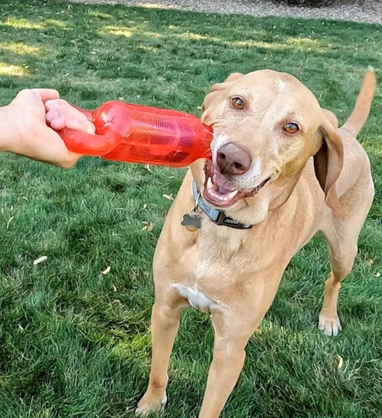KONG Jumbler Tug - Perfect Interactive Dog Toy