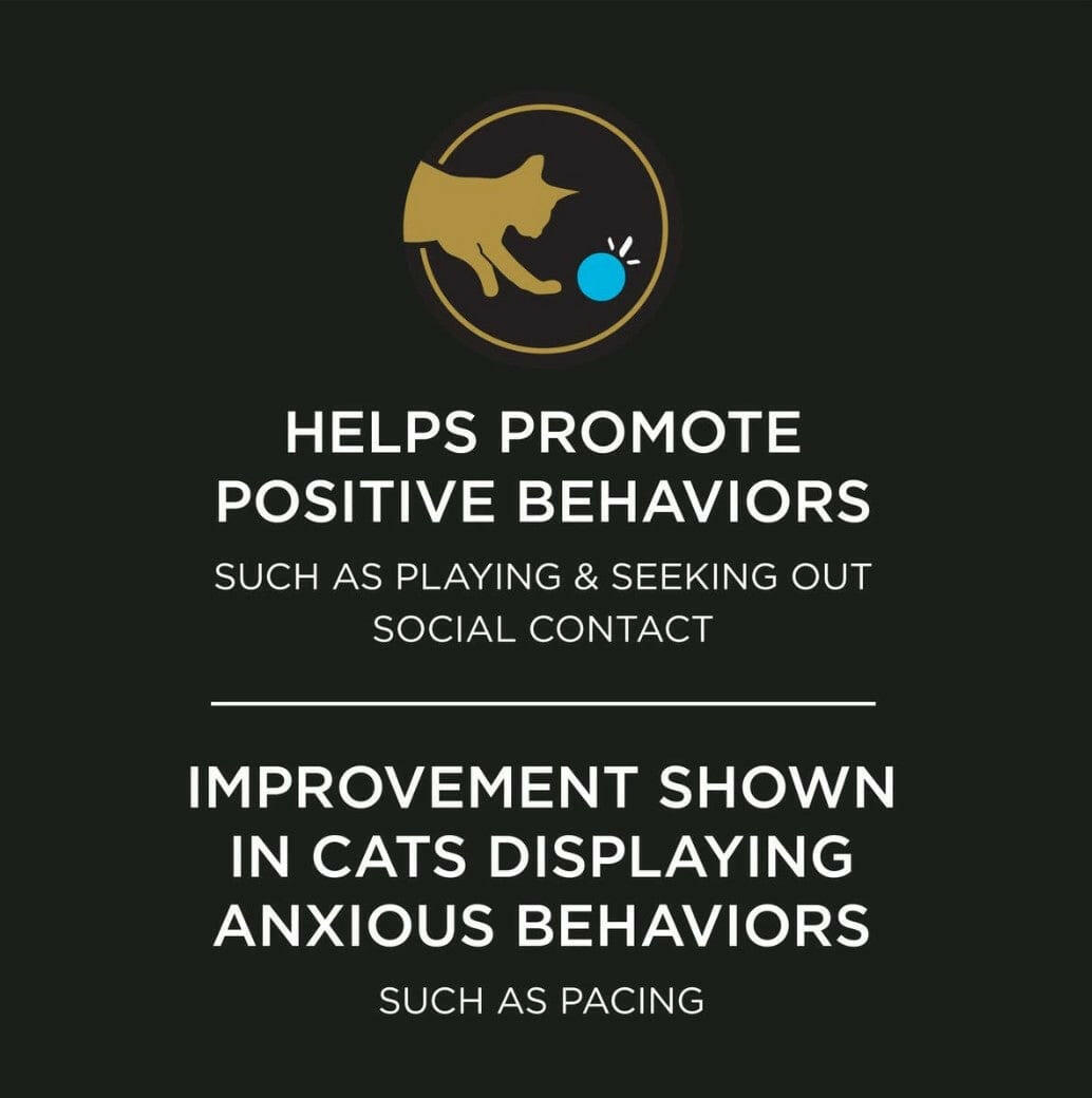 Purina Pro Plan Calming Care for Cats – Vet-Recommended Probiotic Supplement for Stress & Anxiety Relief