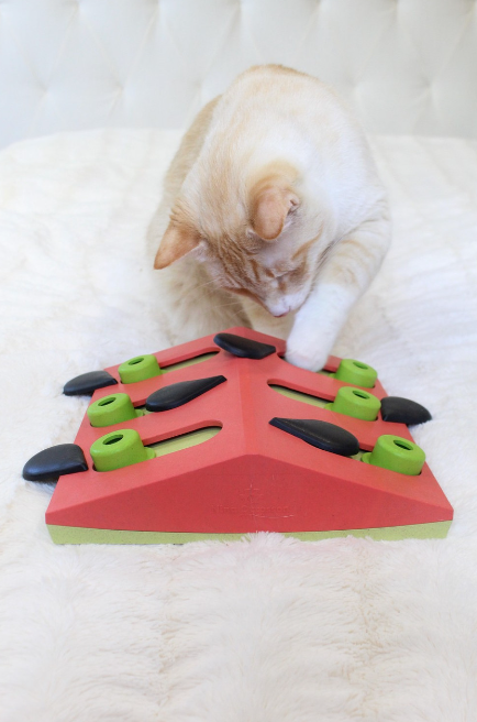 OUTWARD HOUND Melon Madness Pink Interactive Puzzle & Play Cat Toy