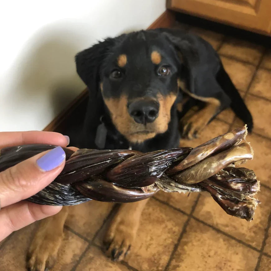 6 Inch Braided Jerky Stick for Dogs – Soft, Single-Ingredient Chew with Joint Support