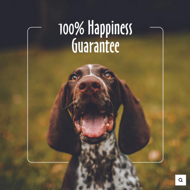 EARTHBATH Mango Tango 2-in-1 Conditioning Shampoo 16oz - Ultimate Pet Care