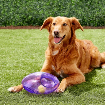 Durable Kong Jumbler Football - Interactive Dog Toy for Active Play