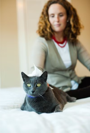 EARTHBATH Hypo-Allergenic Grooming Wipes - 100 Count | All-Natural, Safe & Gentle for Pets