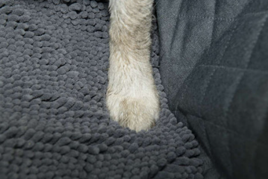 Protect Your Car with DGS Dirty Dog 3-in-1 Grey Car Seat Cover and Hammock