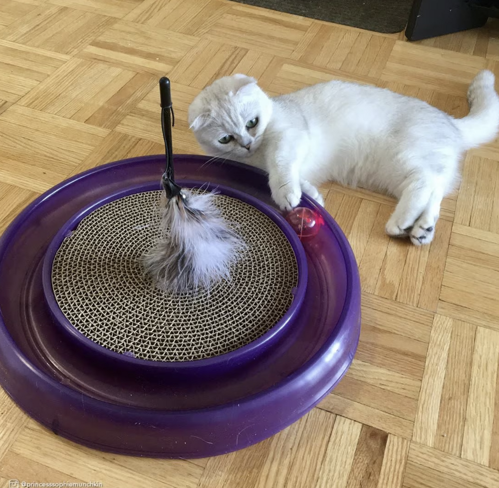 Coastal Turbo Twinkle Ball Replacement – Assorted Colors (1 Pack)