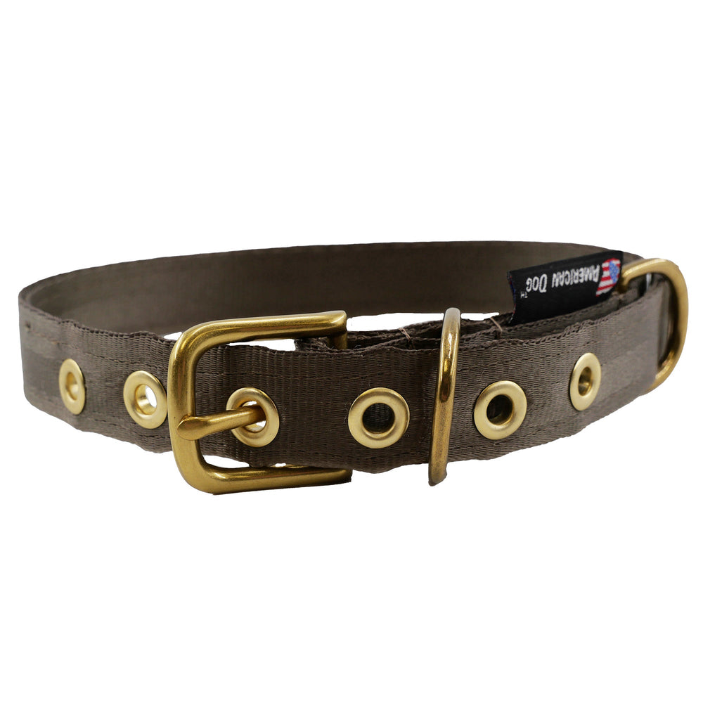 Heavy-Duty Seatbelt Dog Collar – USA Made with Brass Hardware