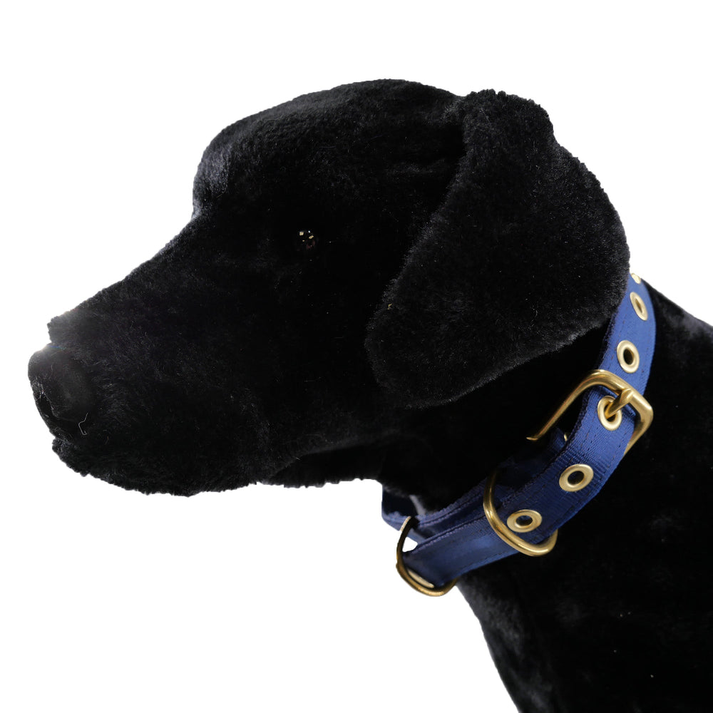Heavy-Duty Seatbelt Dog Collar – USA Made with Brass Hardware