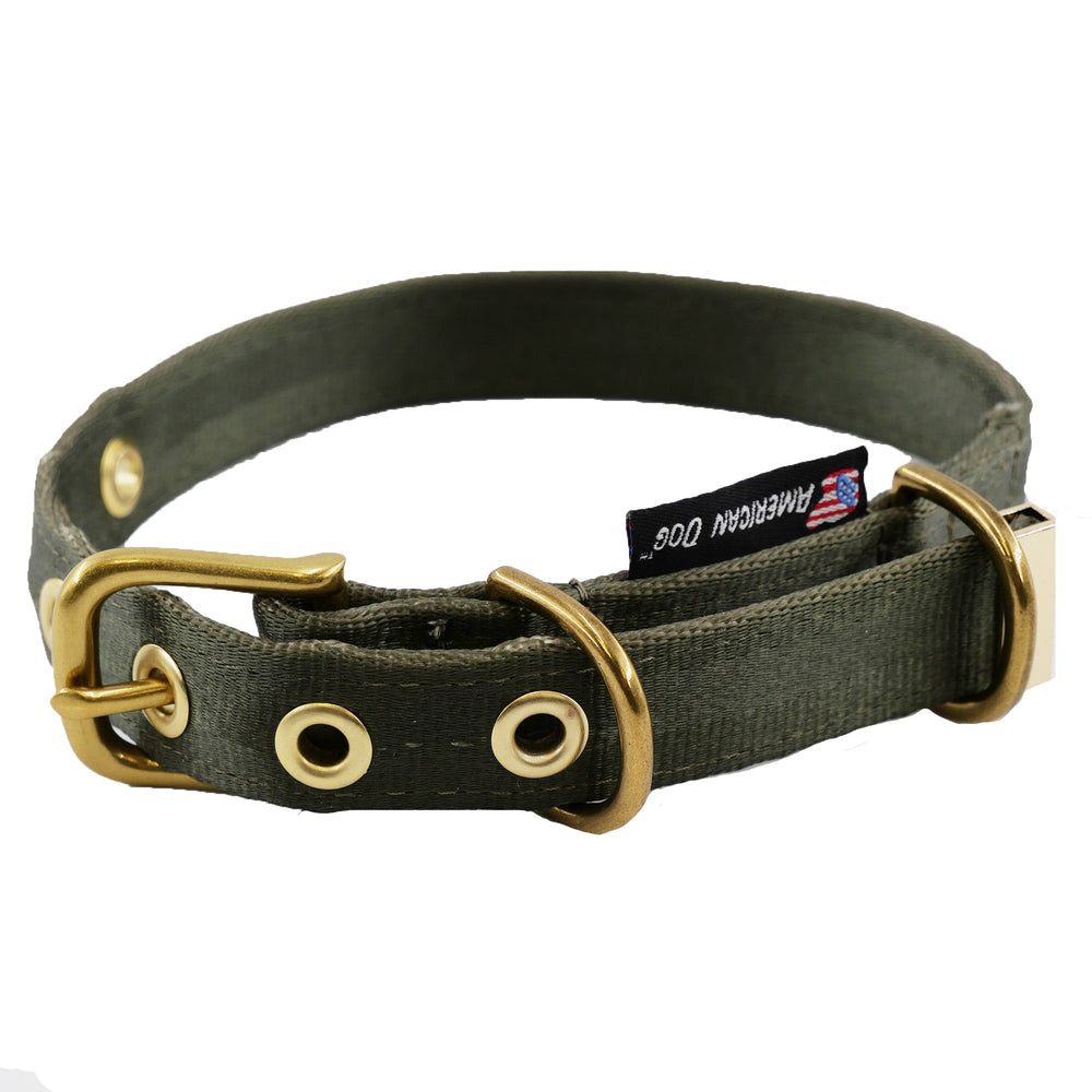Heavy-Duty Seatbelt Dog Collar – USA Made with Brass Hardware