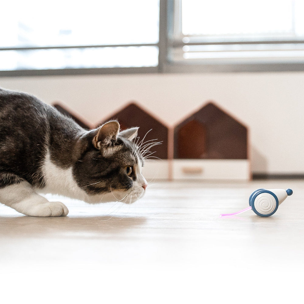 Wicked Mouse by Creeble – Smart Interactive Cat Toy