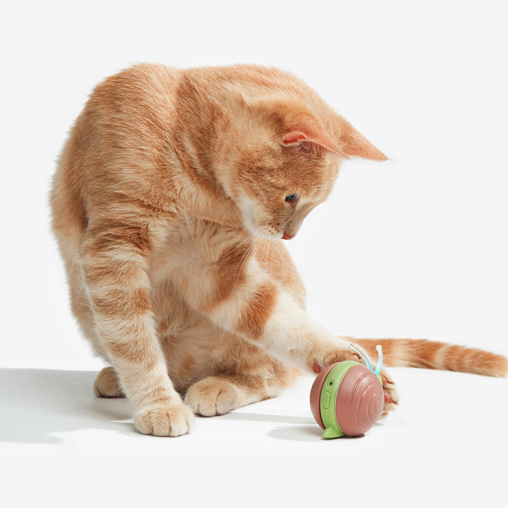 Cheerble Wicked Snail – Interactive Smart Cat Toy with LED Lights & Motion Fun