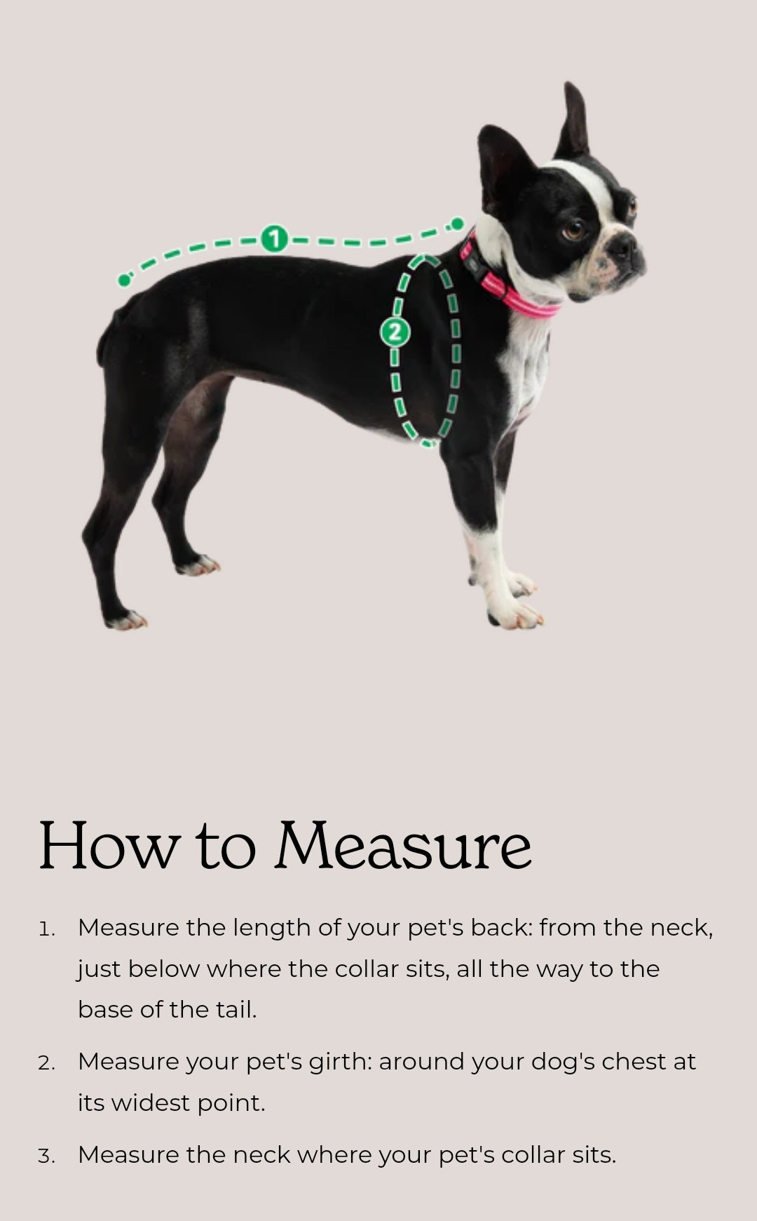 Light Aqua Alpine Puffer Jacket – Lightweight, Warm, & StylishAlpine Puffer