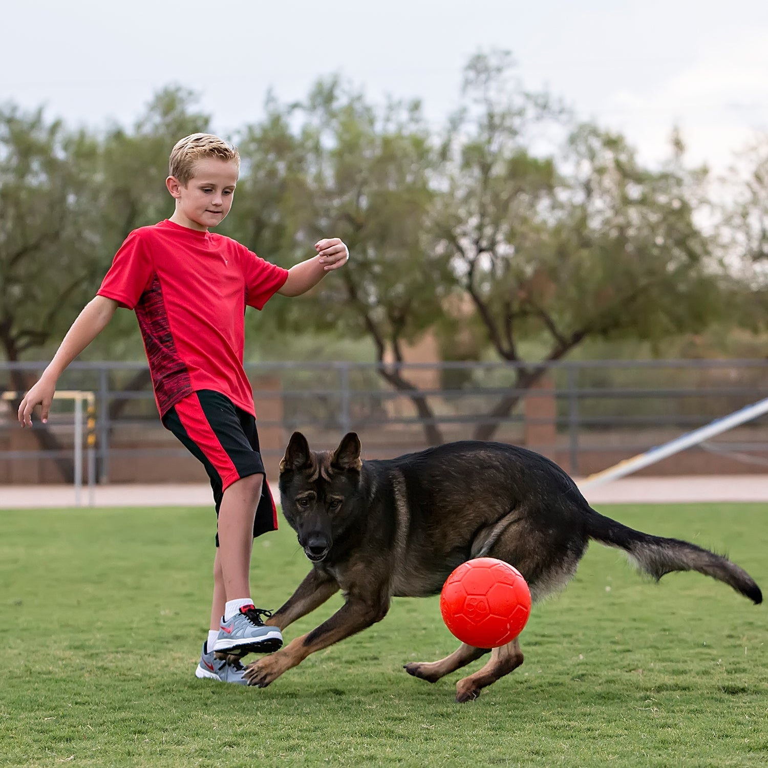 Jolly Pets Soccer Ball Dog Toy – Durable, Bouncy, Floating Ball for Fetch, Pool, and Beach Play