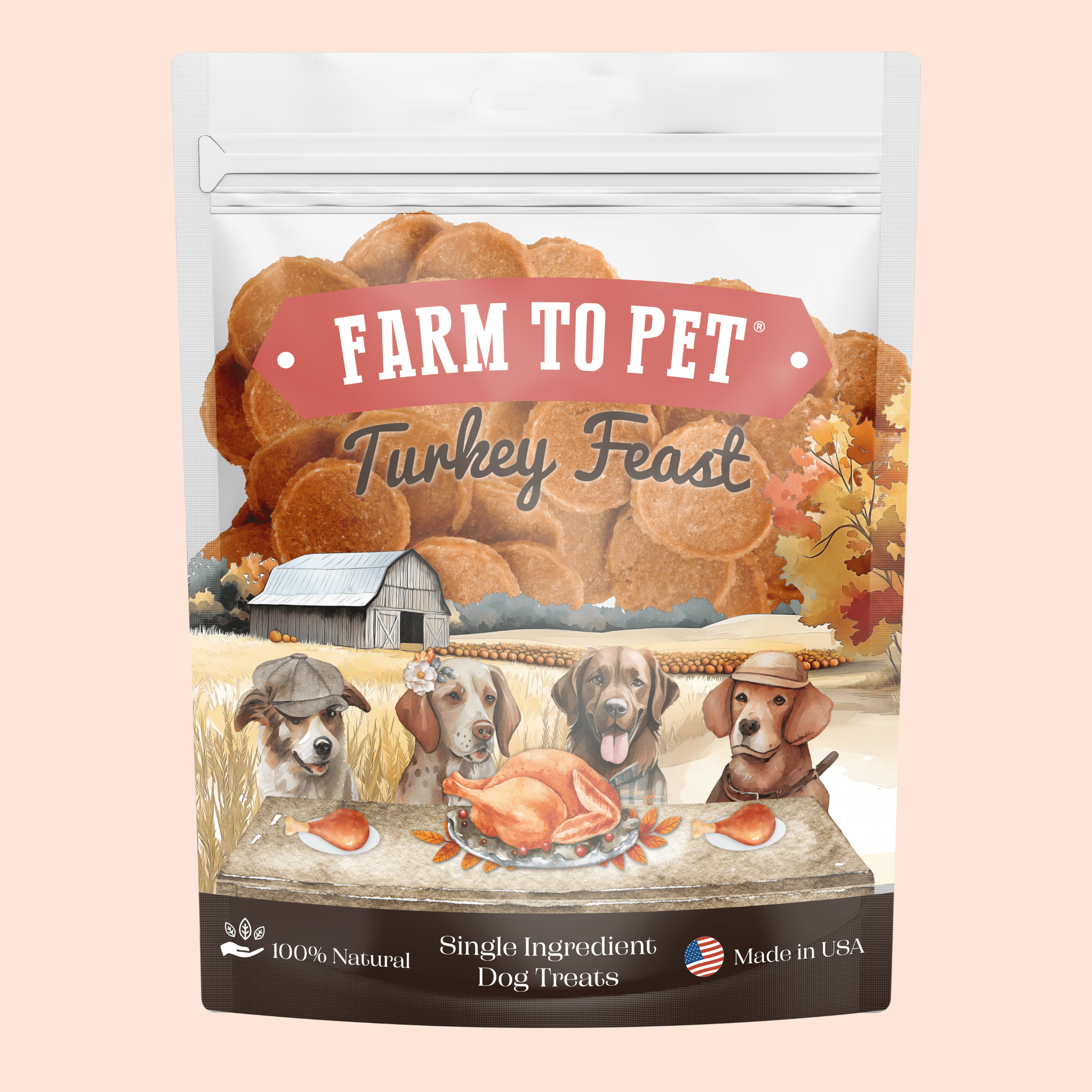 Turkey Feast Chips – Single-Ingredient Thanksgiving Dog & Cat Treats