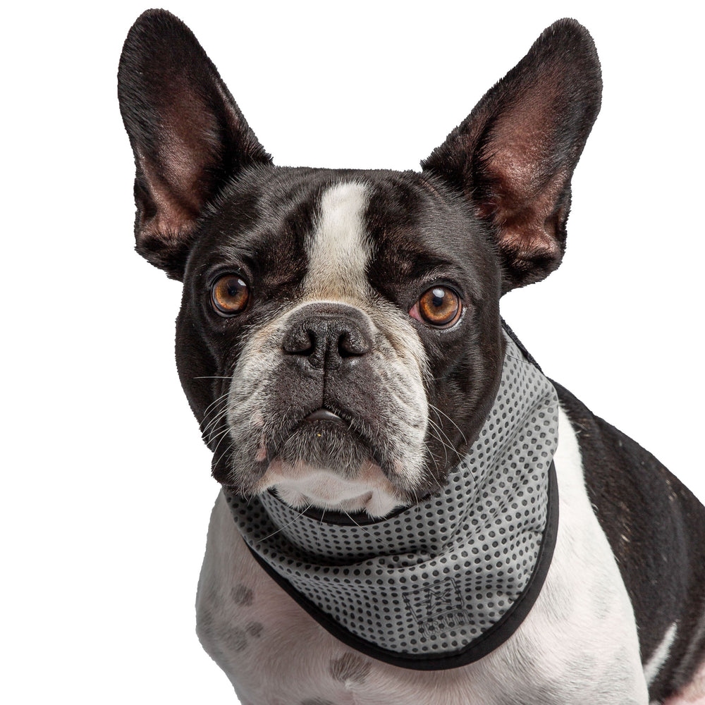 Official U.S. Army® Dog Cooling Bandana – Grey | Lightweight & UV Protective