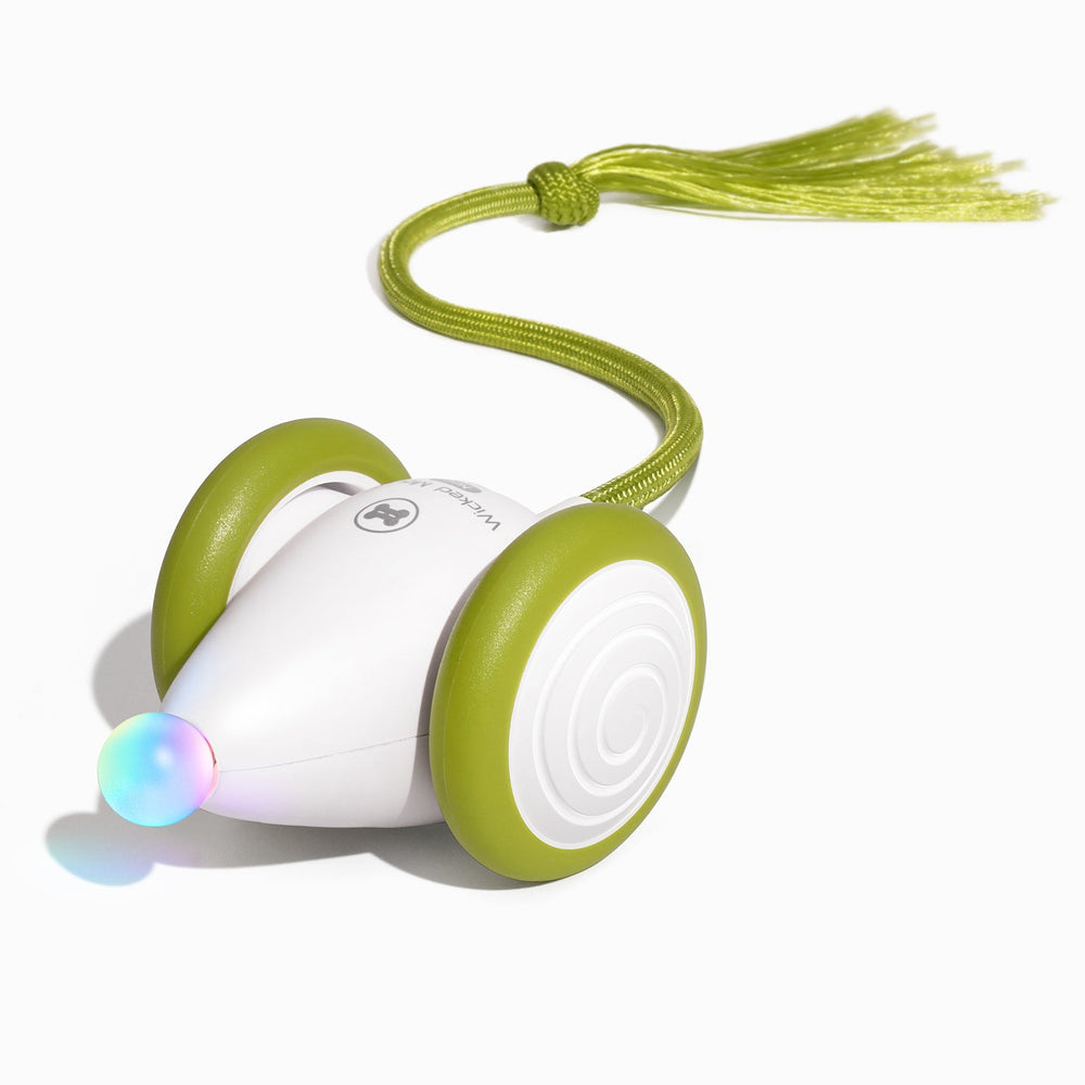 Creeble® Wicked Mouse Neo – Smart Interactive Cat Toy for Active Play