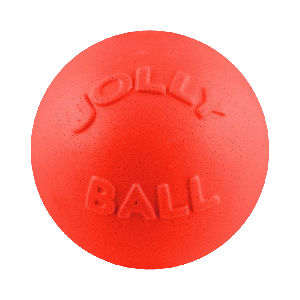 Jolly Pets Bounce-n-Play Dog Ball – Durable, Bouncy, Floating Dog Toy for Fetch and Pool Fun