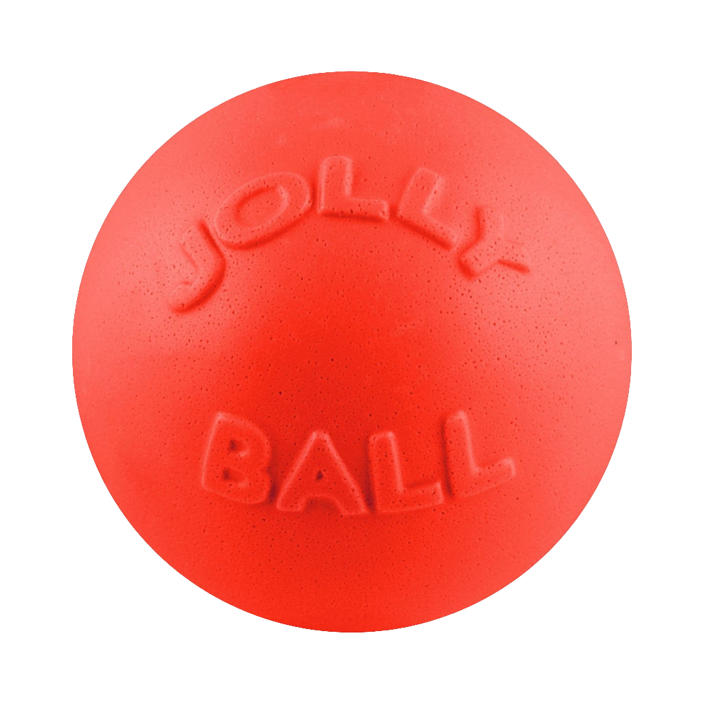 Jolly Pets Bounce-n-Play Dog Ball – Durable, Bouncy, Floating Dog Toy for Fetch and Pool Fun
