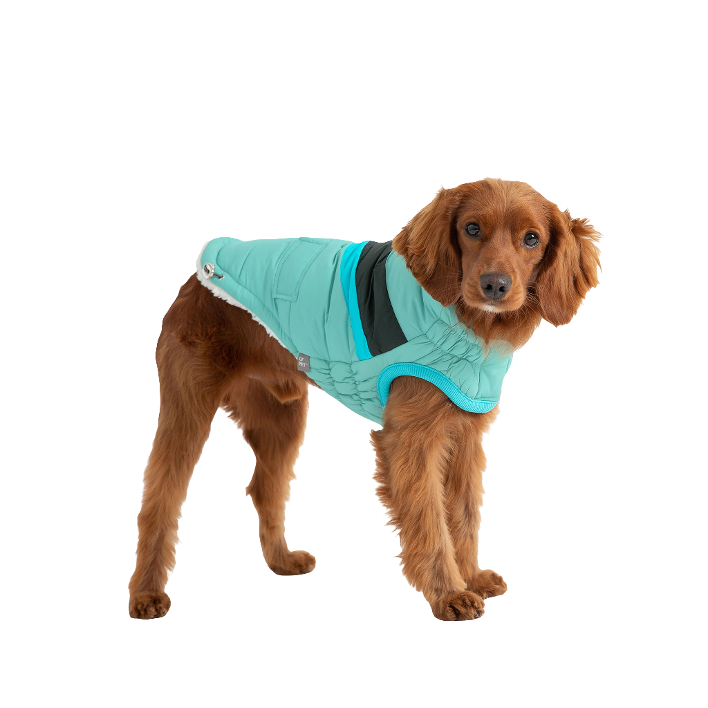 Light Aqua Alpine Puffer Jacket – Lightweight, Warm, & StylishAlpine Puffer