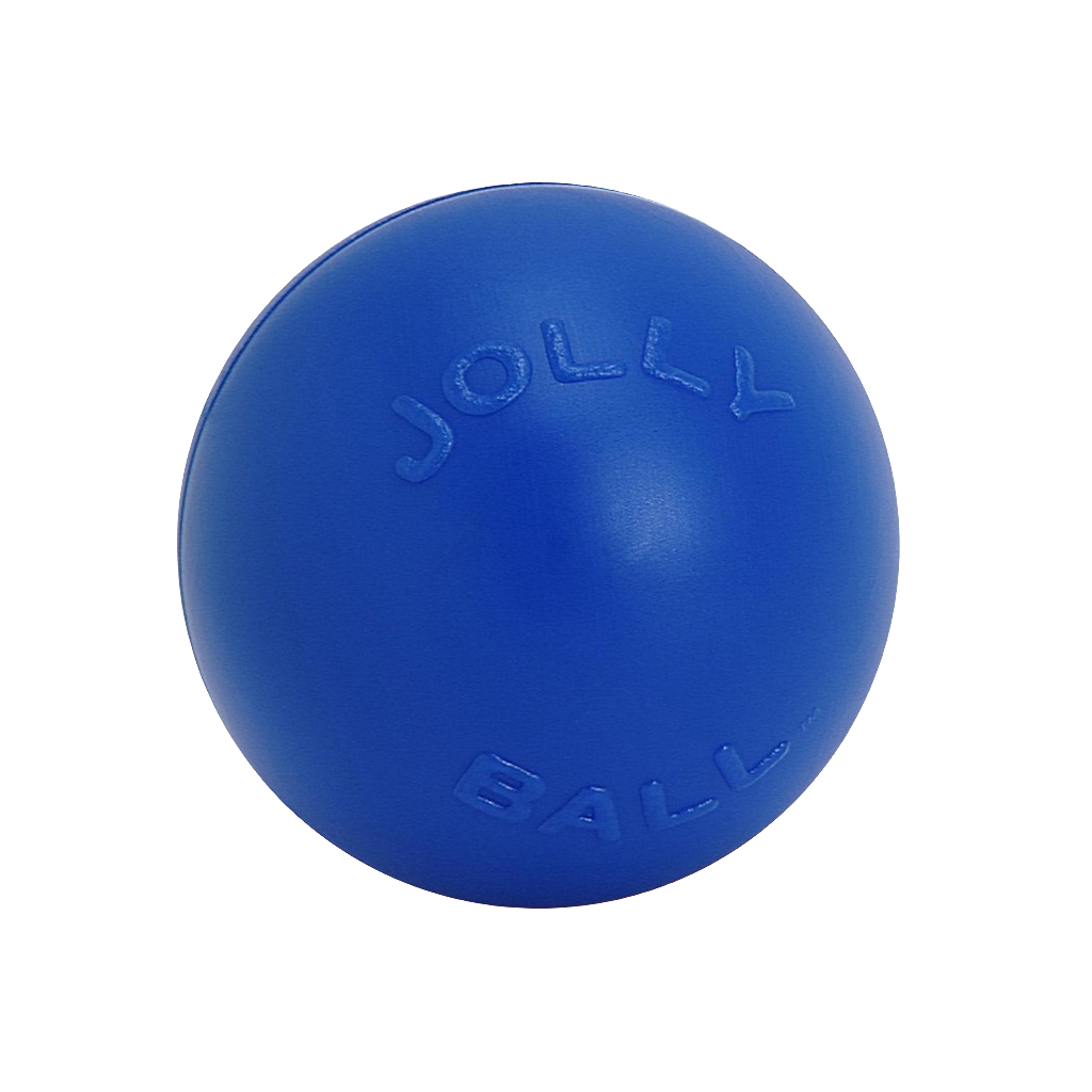 Jolly Pets Push-n-Play Durable Dog Ball – Tough Rolling & Floating Toy for Active Dogs