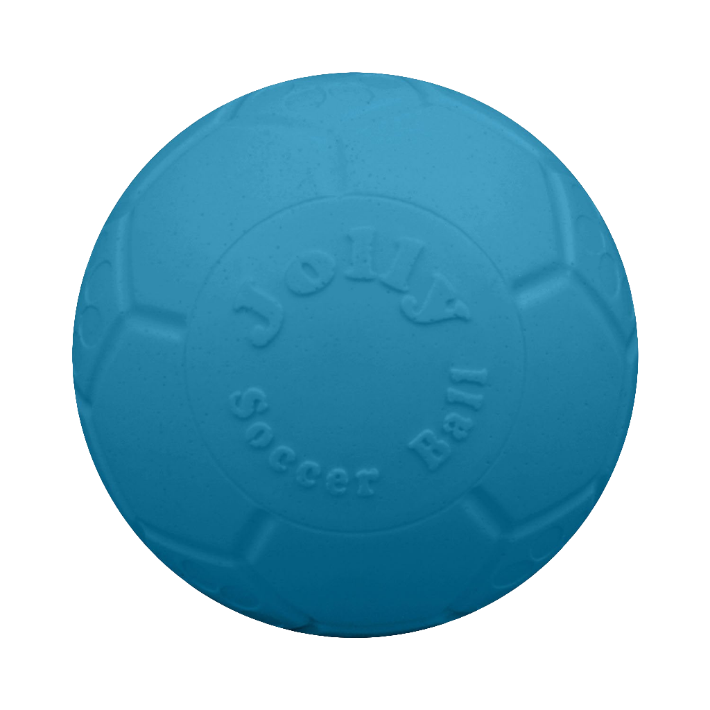 Jolly Pets Soccer Ball Dog Toy – Durable, Bouncy, Floating Ball for Fetch, Pool, and Beach Play