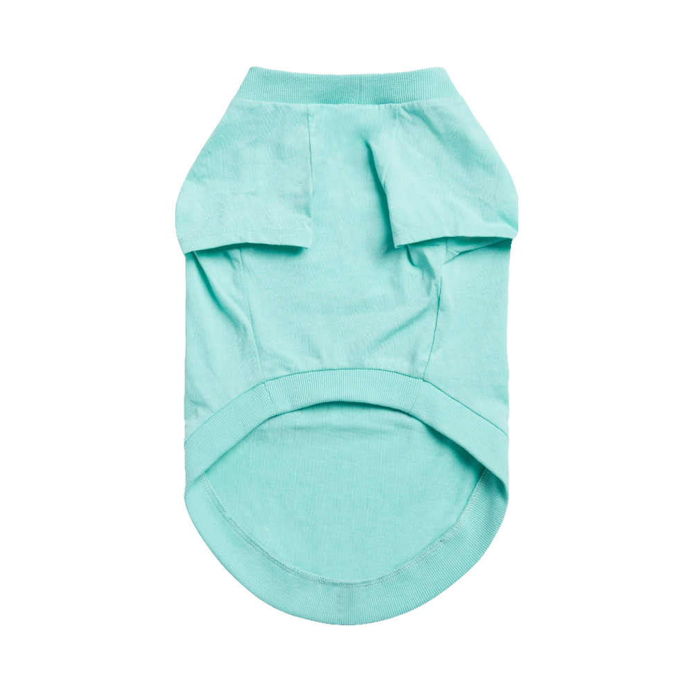 GF PET® Vintage Aqua Dog T-Shirt – Soft Graphic Tee for Dogs | Lightweight, Stylish Pet Apparel for Everyday Wear