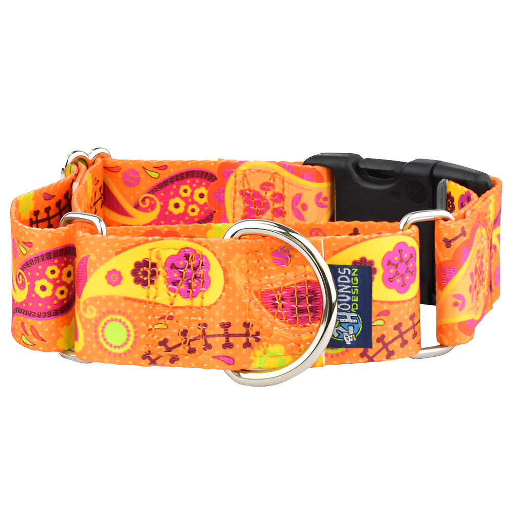 Orange Paisley Martingale Dog Collar with Buckle – Eco-Friendly EarthStyle by 2 Hounds Design