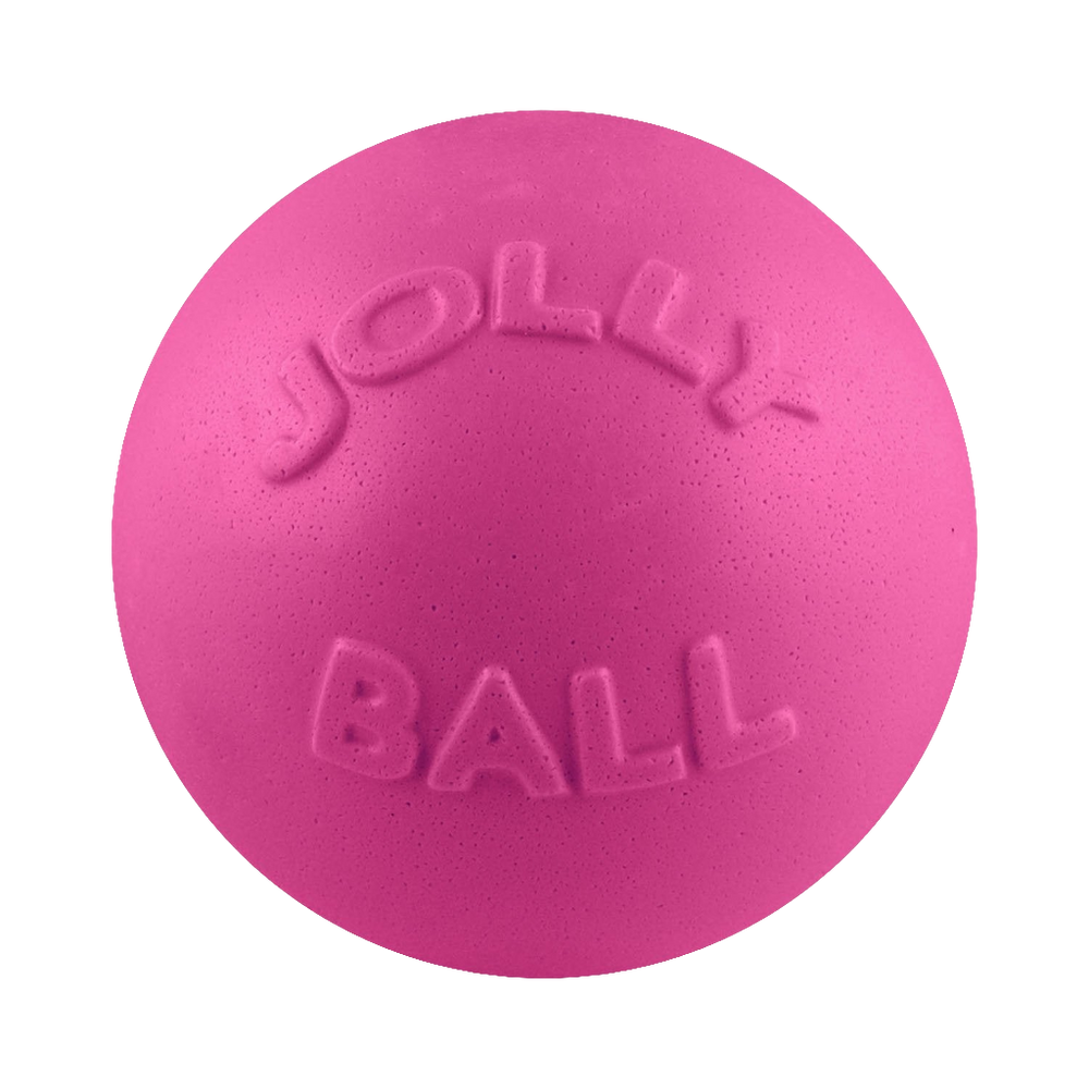 Jolly Pets Bounce-n-Play Dog Ball – Durable, Bouncy, Floating Dog Toy for Fetch and Pool Fun