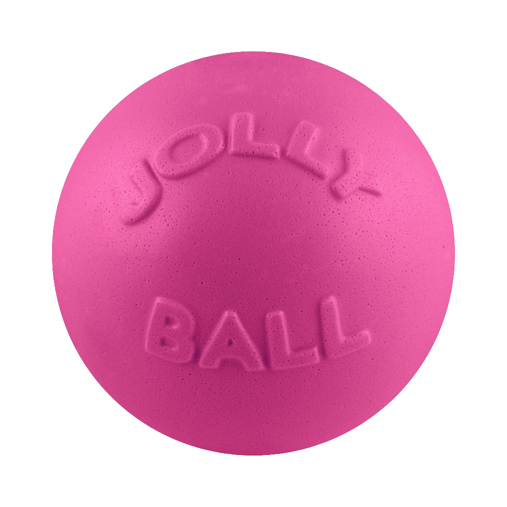 Jolly Pets Bounce-n-Play Dog Ball – Durable, Bouncy, Floating Dog Toy for Fetch and Pool Fun