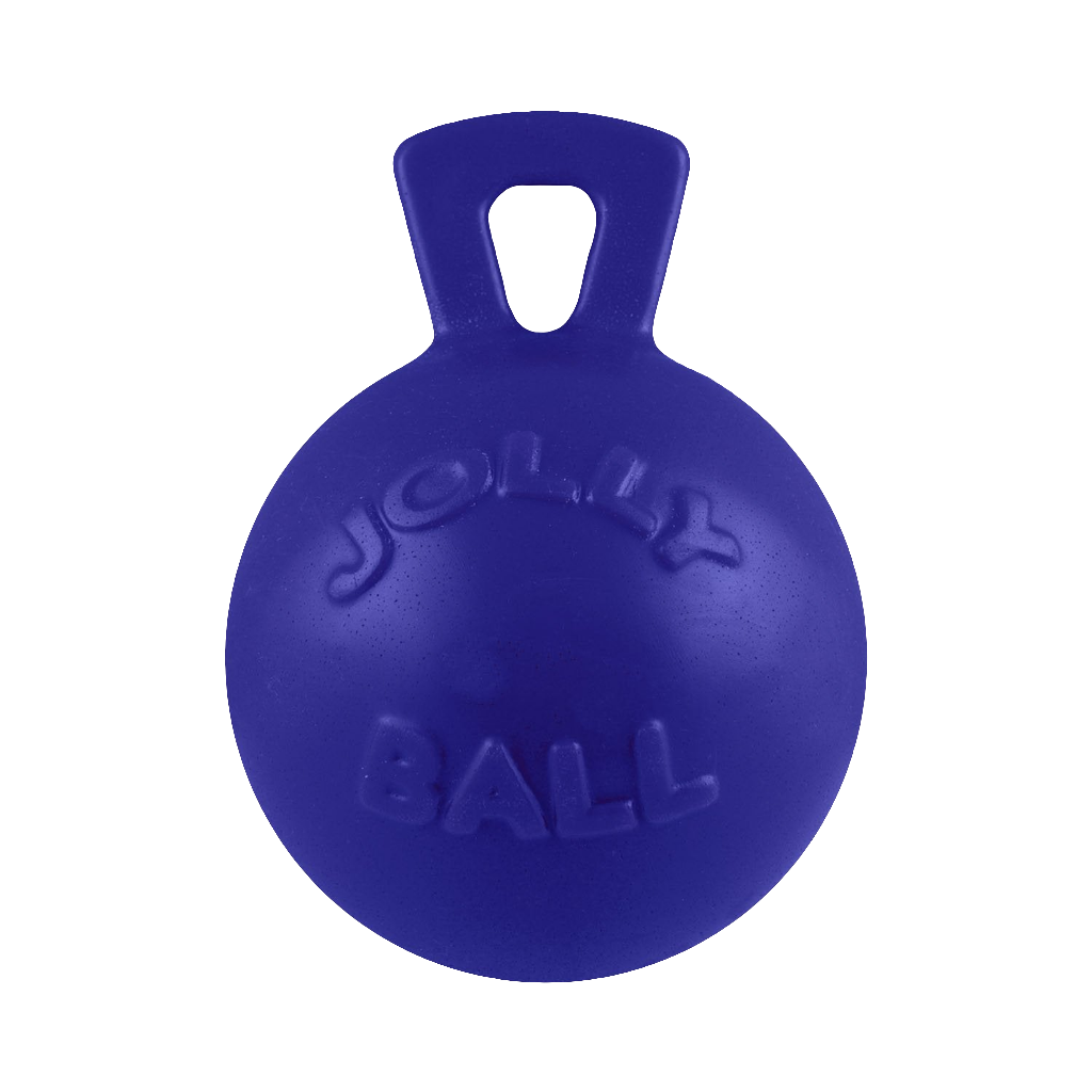Jolly Pets Tug-n-Toss – Durable Bouncy Ball with Handle for Dogs | Floating Fetch Toy for Land & Water Play