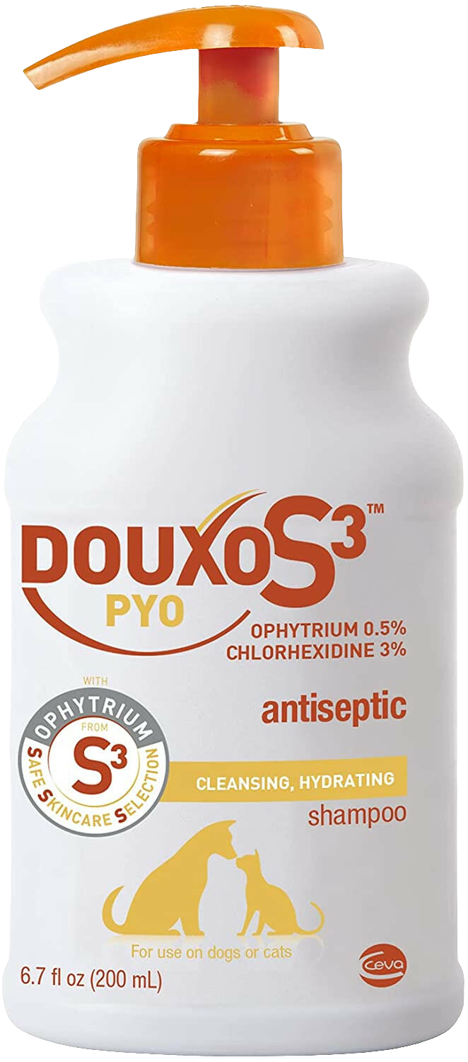 Douxo S3 PYO Antiseptic & Antifungal Shampoo for Dogs & Cats – Vet-Recommended Skin Care