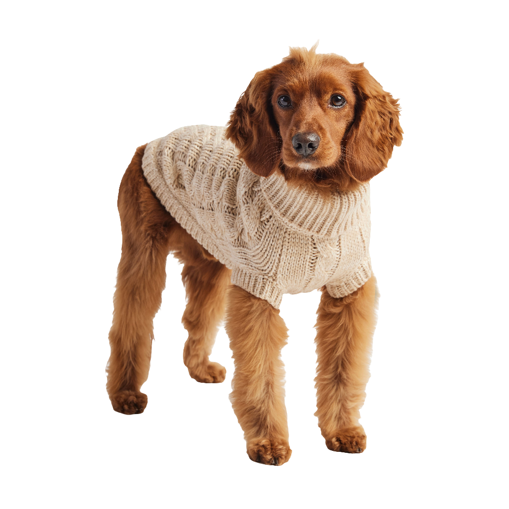Oatmeal Knit Dog Sweater – Cozy Winter Turtleneck Pet Apparel for Small & Large Dogs