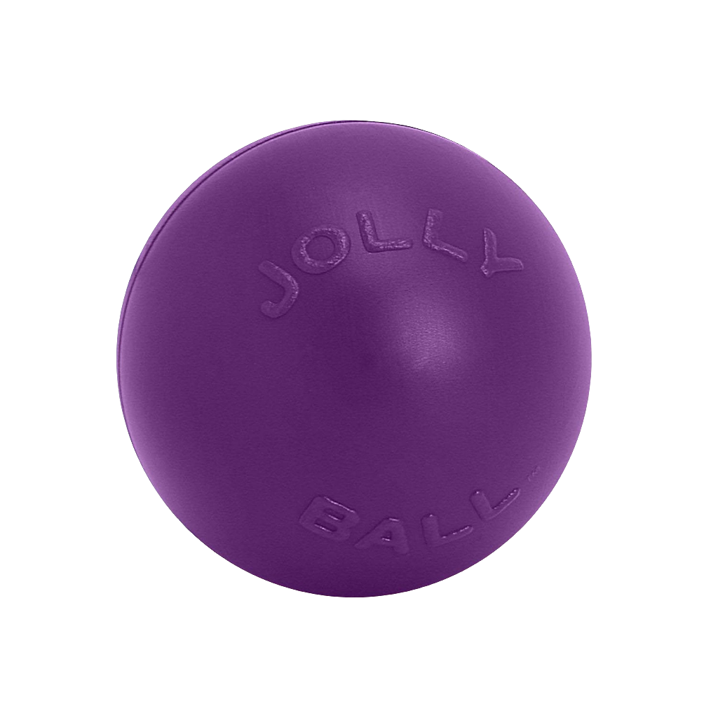 Jolly Pets Push-n-Play Durable Dog Ball – Tough Rolling & Floating Toy for Active Dogs