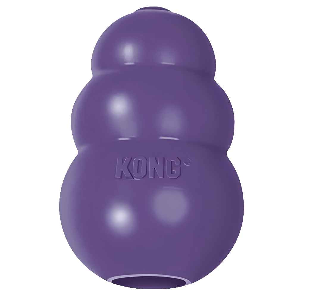 KONG Senior Dog Toy- Gentle Chew for Aging Dogs