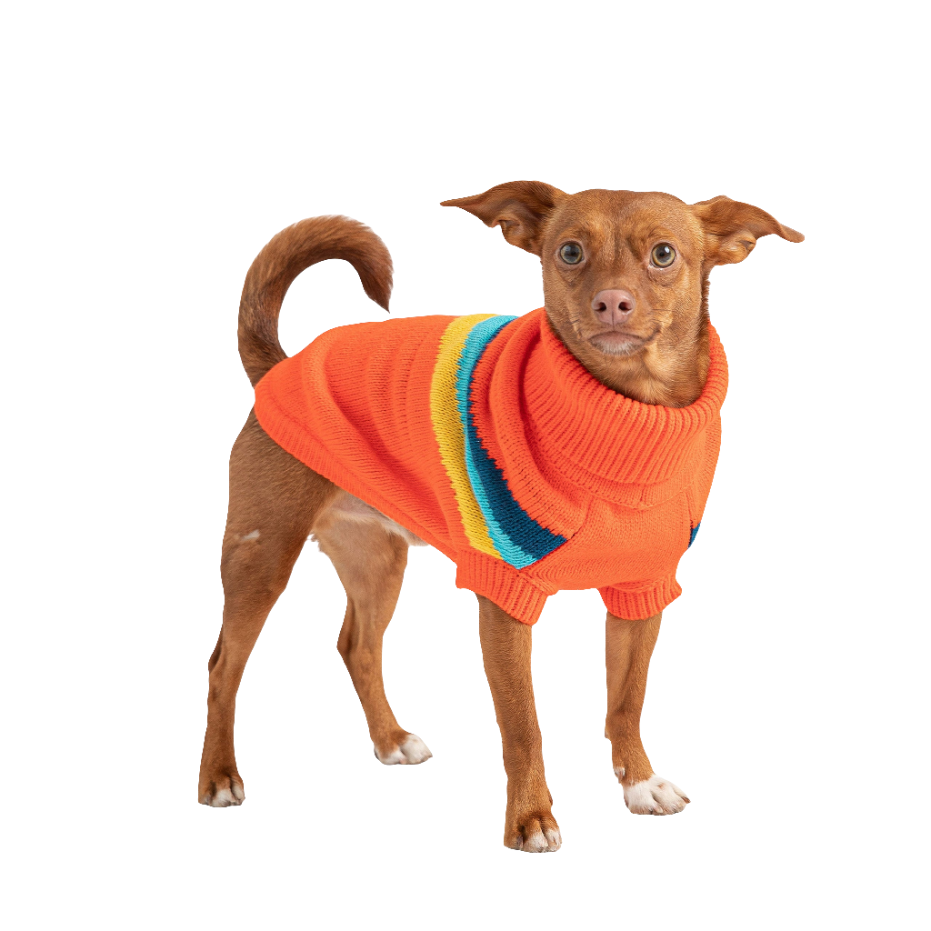 Stylish Alpine Dog Sweater - Orange Turtleneck Pet Apparel