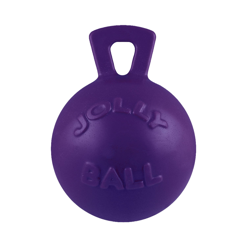 Jolly Pets Tug-n-Toss – Durable Bouncy Ball with Handle for Dogs | Floating Fetch Toy for Land & Water Play