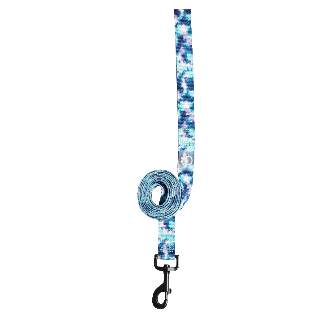 GF PET® Tie Dye Dog Leash – 6ft Durable Nylon, 2-Sided Print