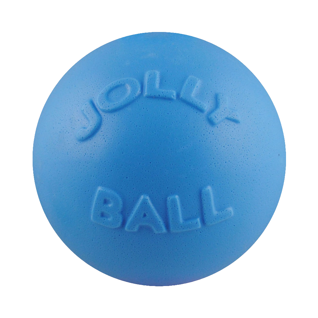 Jolly Pets Bounce-n-Play Dog Ball – Durable, Bouncy, Floating Dog Toy for Fetch and Pool Fun