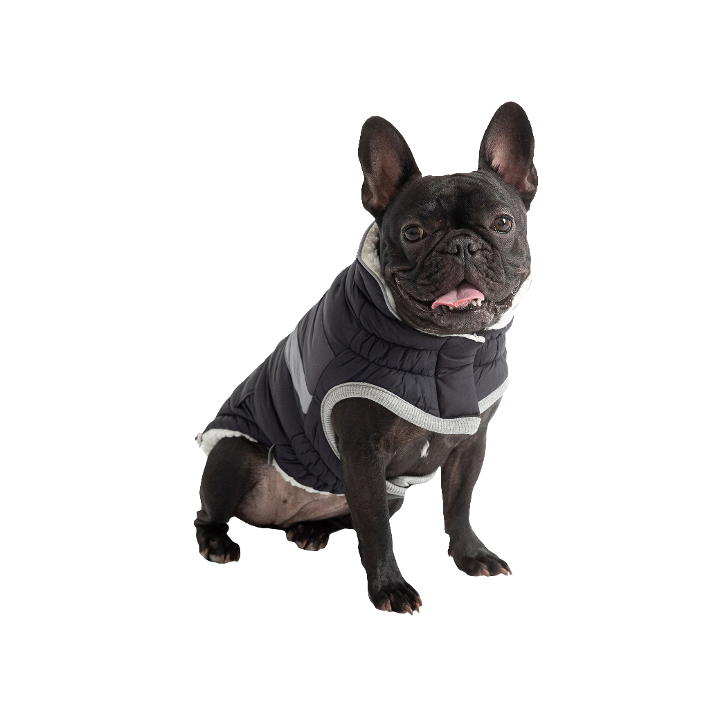 Black Alpine Puffer Jacket – Lightweight, Warm, & Stylish