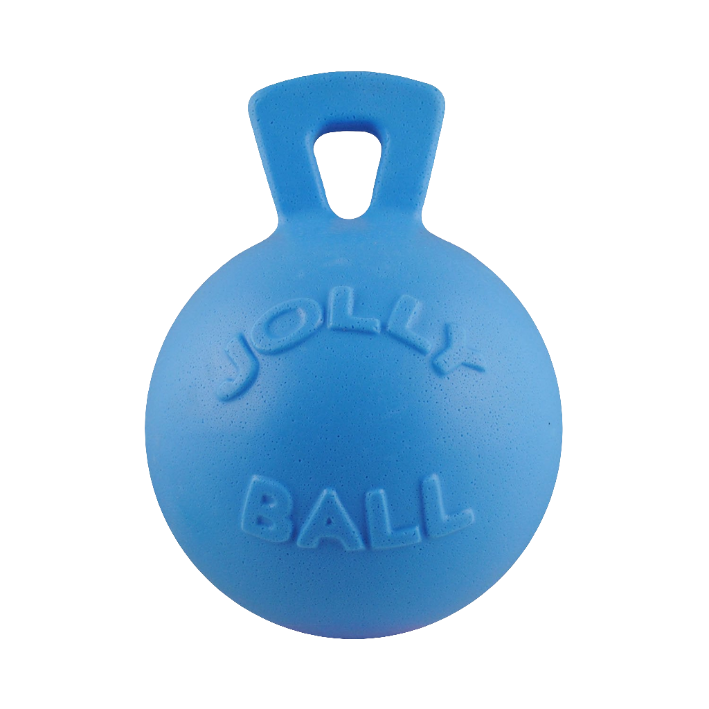 Jolly Pets Tug-n-Toss – Durable Bouncy Ball with Handle for Dogs | Floating Fetch Toy for Land & Water Play