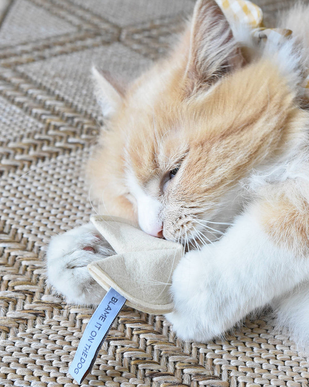 Kitty Fortune Cookie Cat Toy – “Blame It on the Dog” Edition