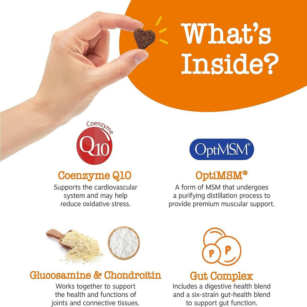 Zesty Paws 8-in-1 Dog Multivitamin – Chicken Flavored Soft Chews for Hip, Joint, Skin, Heart & Immune Health (90 ct)