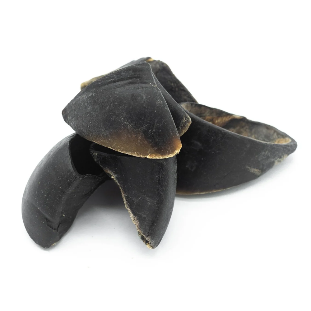All-Natural Cow Hooves for Dogs β Long-Lasting Chew Treats