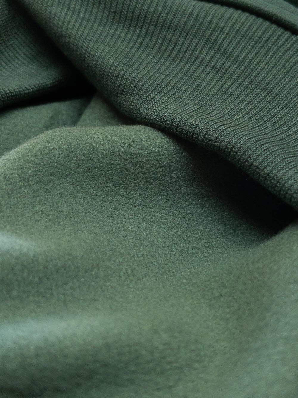 Good Thomas Premium Dog Hoodie – Heavyweight Fleece for Cozy Comfort - Jade