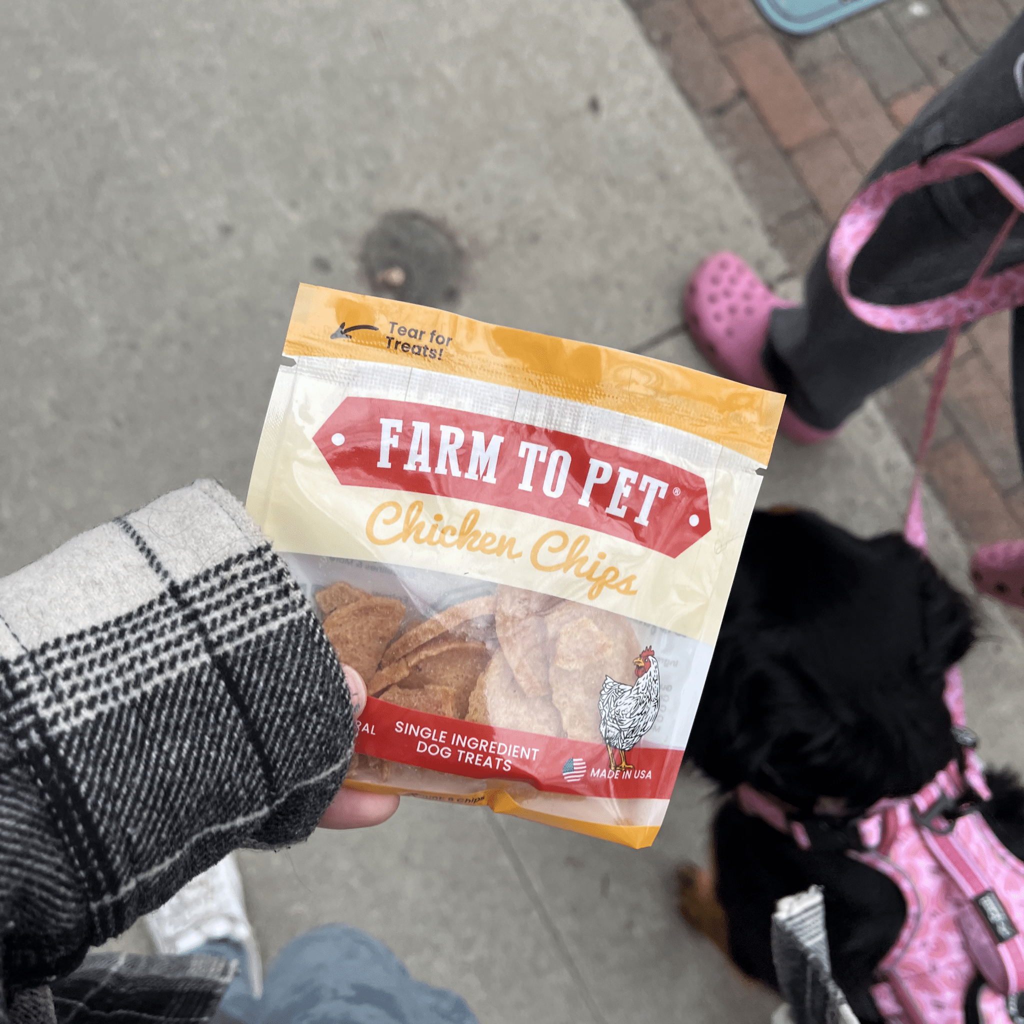 High-Protein Chicken Chip Snack Pack Bundles – All-Natural, Single-Ingredient Dog Treats