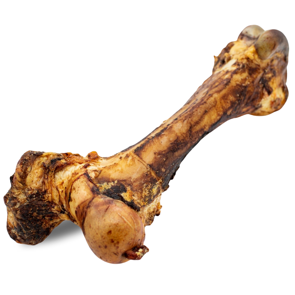 Monster Beef Shin Bone for Dogs โ Long-Lasting Chew for Large Breeds