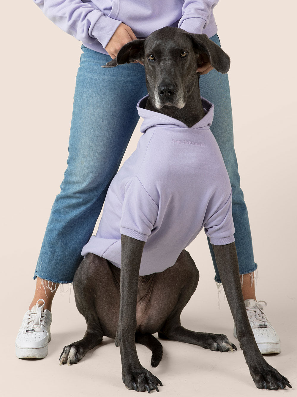 Matching Dog & Owner Hoodie – Oversized Unisex Fleece Sweatshirt for Pets and People (Lilac)