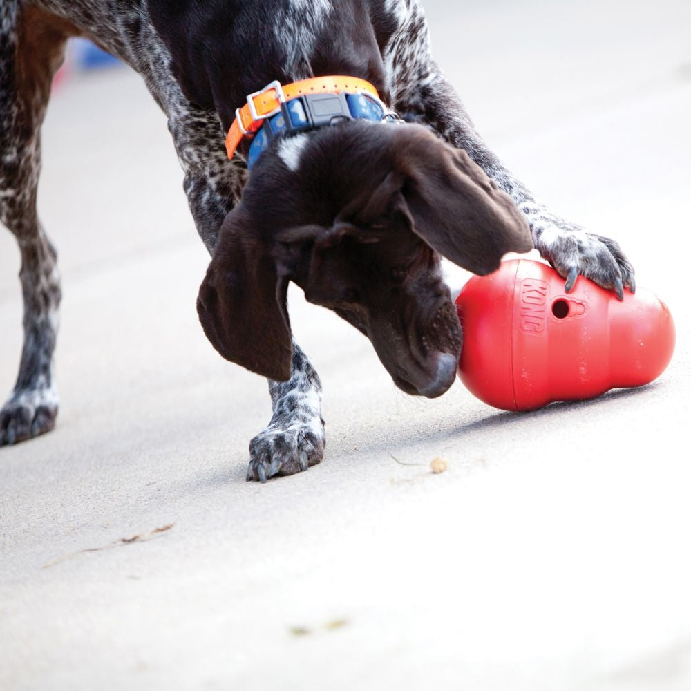 KONG Wobbler Interactive Dog Toy: Dispenses Food and Treats