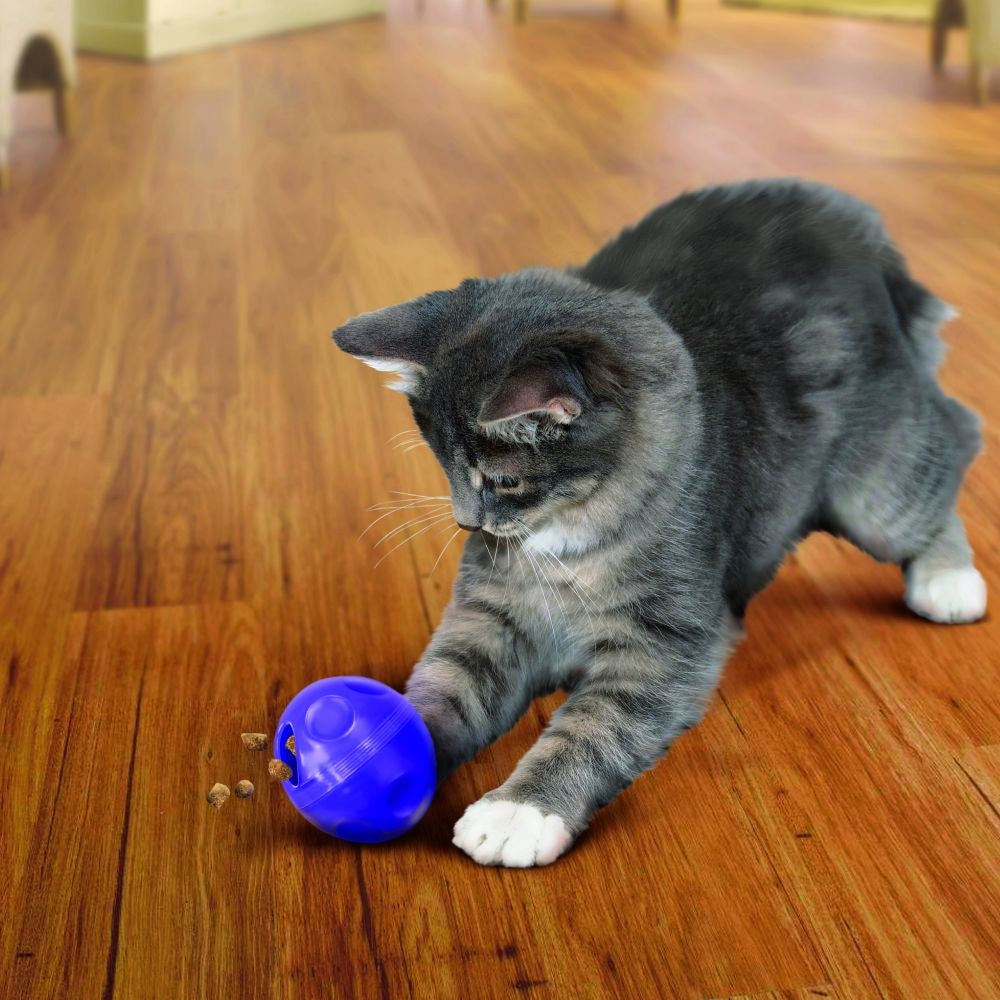 KONG: Active Cat Treat Ball Toy
