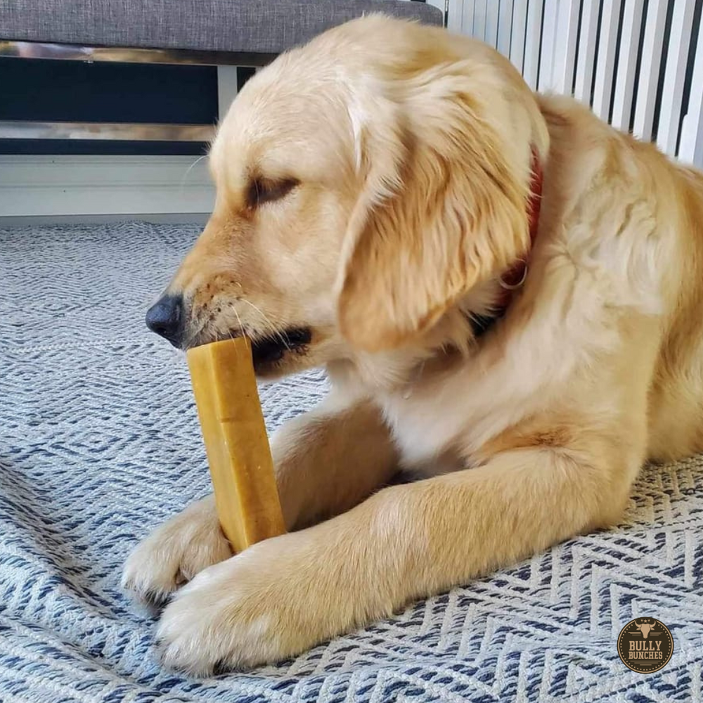 Large Yak Cheese Dog Chews – Long-Lasting Himalayan Yak Milk Chew for Medium Dogs (120–155g)